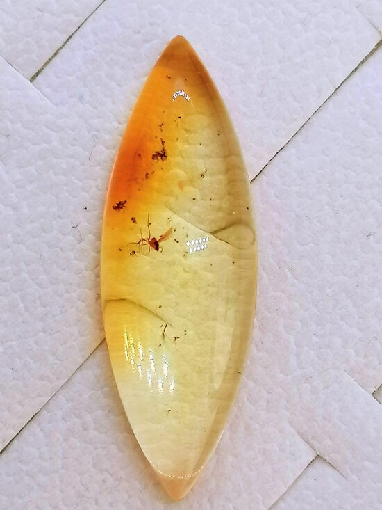 Markizės formos Baltijos gintaro kabušonas plokščiu pagrindu su inkliuzu